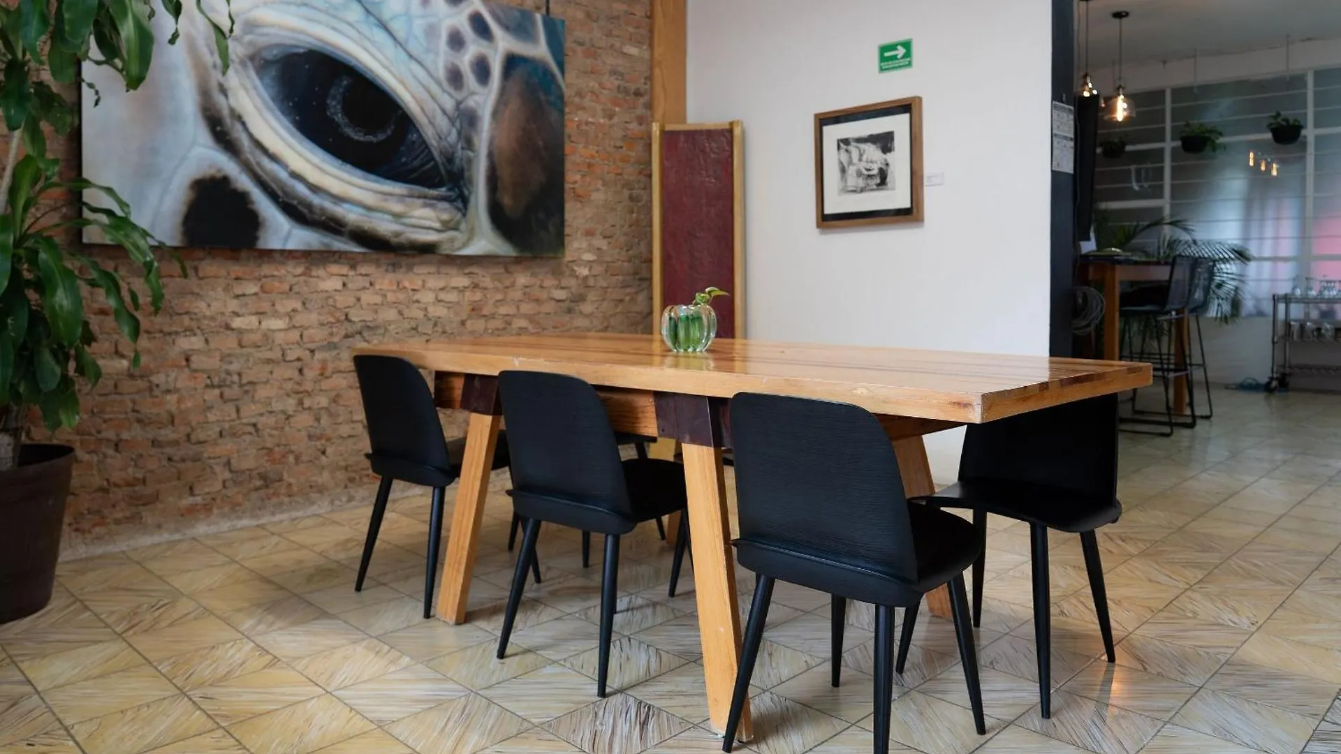 Tatil Evi Habitaciones Privadas Con Bano Propio En Una Zona Segura Y Centrica De Guadalajara. Meksika